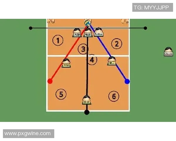 武汉排球队整体压制体系解析与战术创新探讨