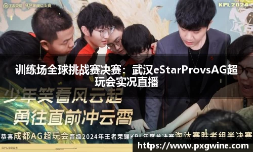 训练场全球挑战赛决赛：武汉eStarProvsAG超玩会实况直播